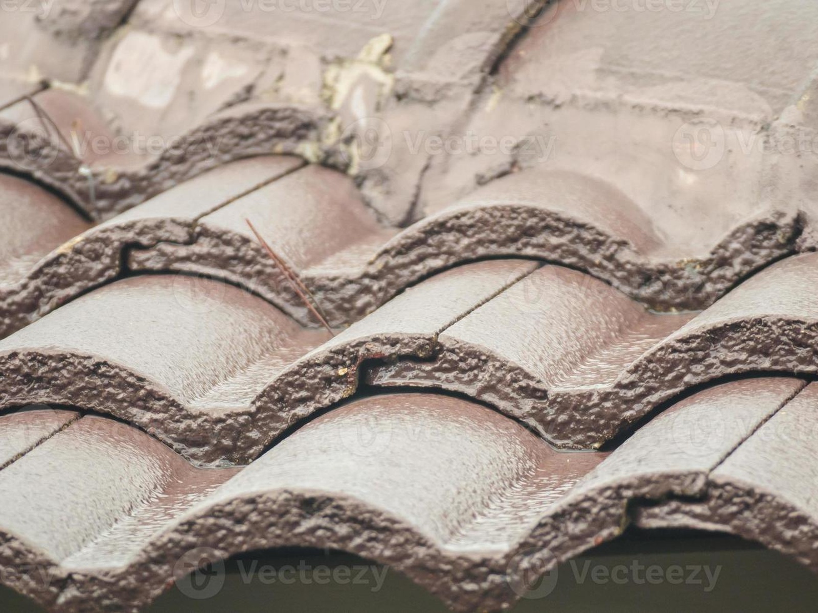 Roof Tiles Close-Up