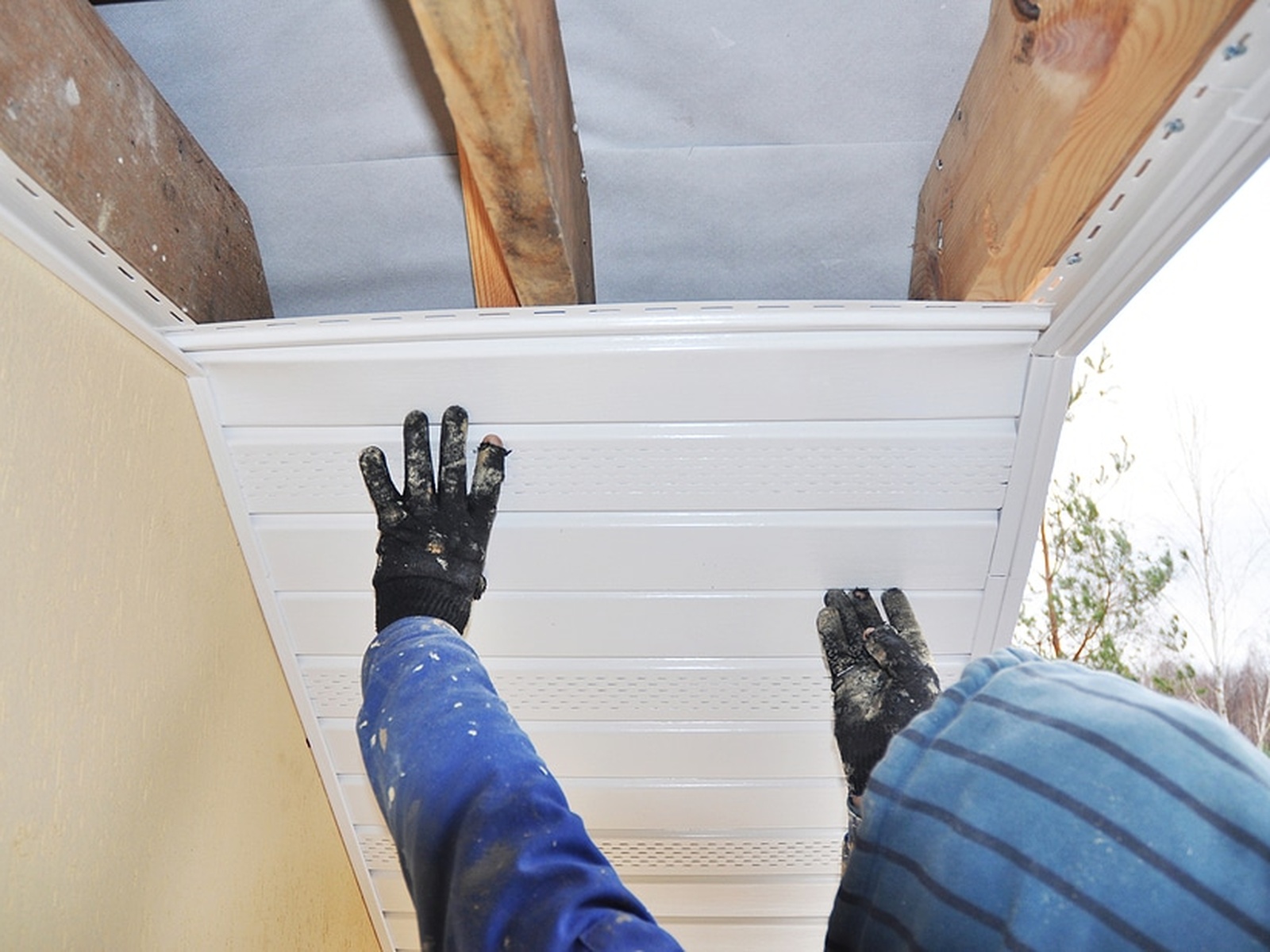 Fascia Board Replacement