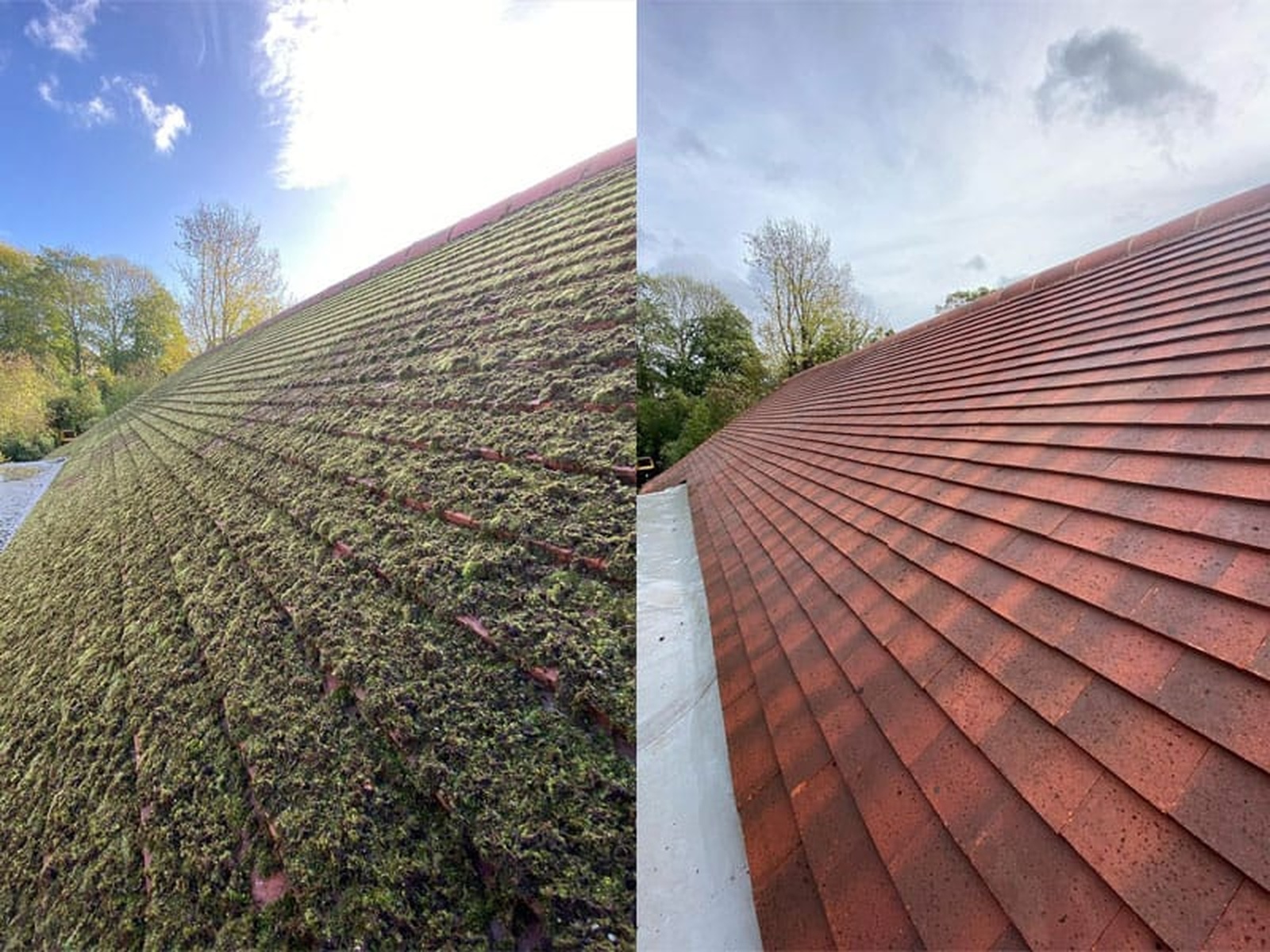 Moss-Free Roof Treatment