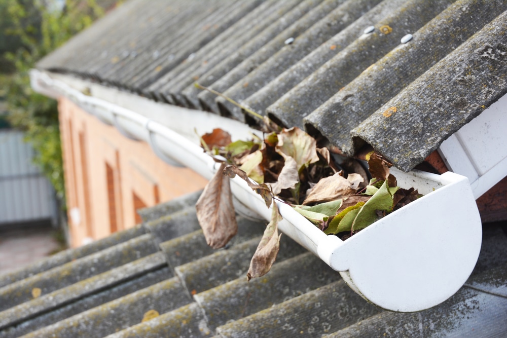 Roof Maintenance image 5