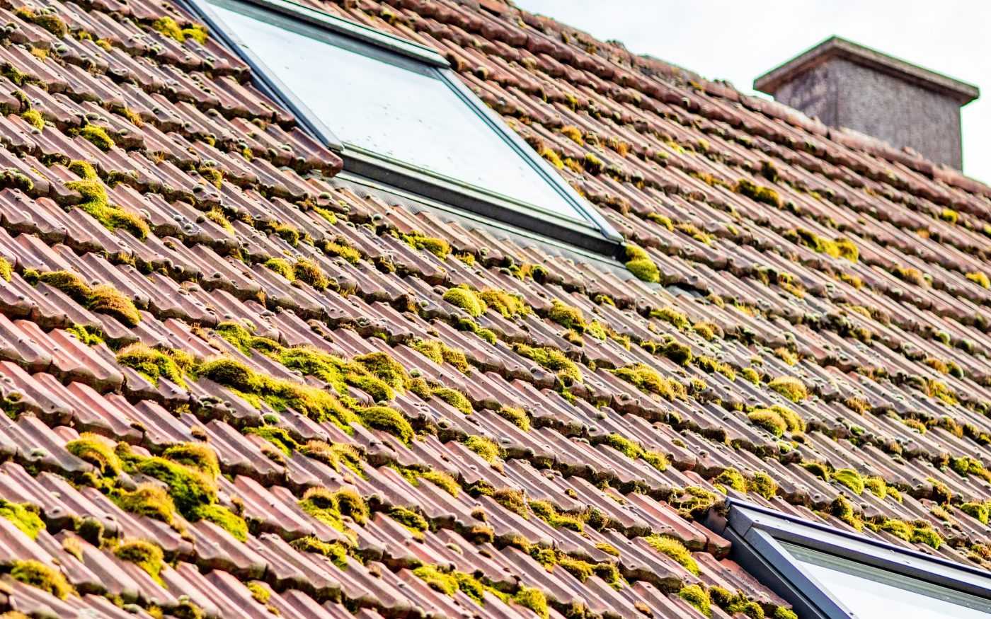 Roof Cleaning & Moss Removal image 1