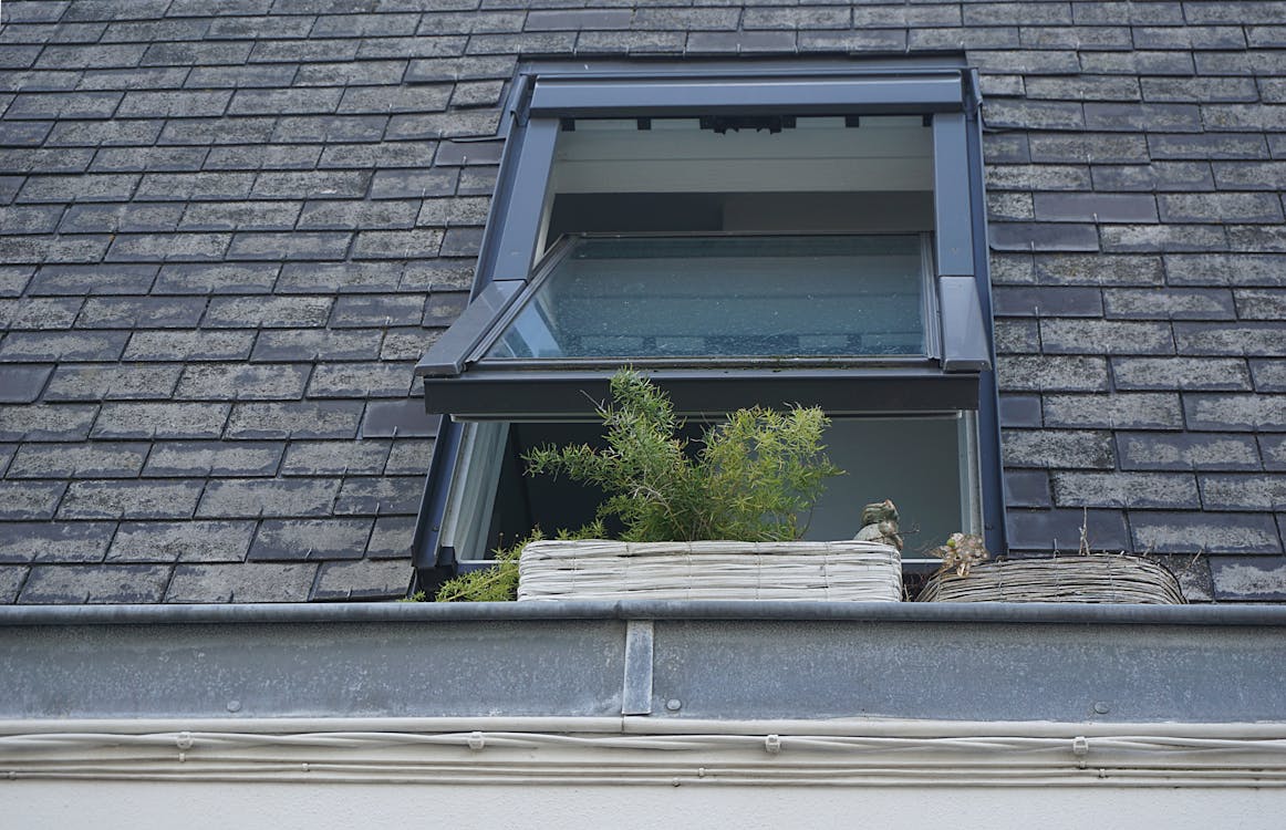 Velux Windows