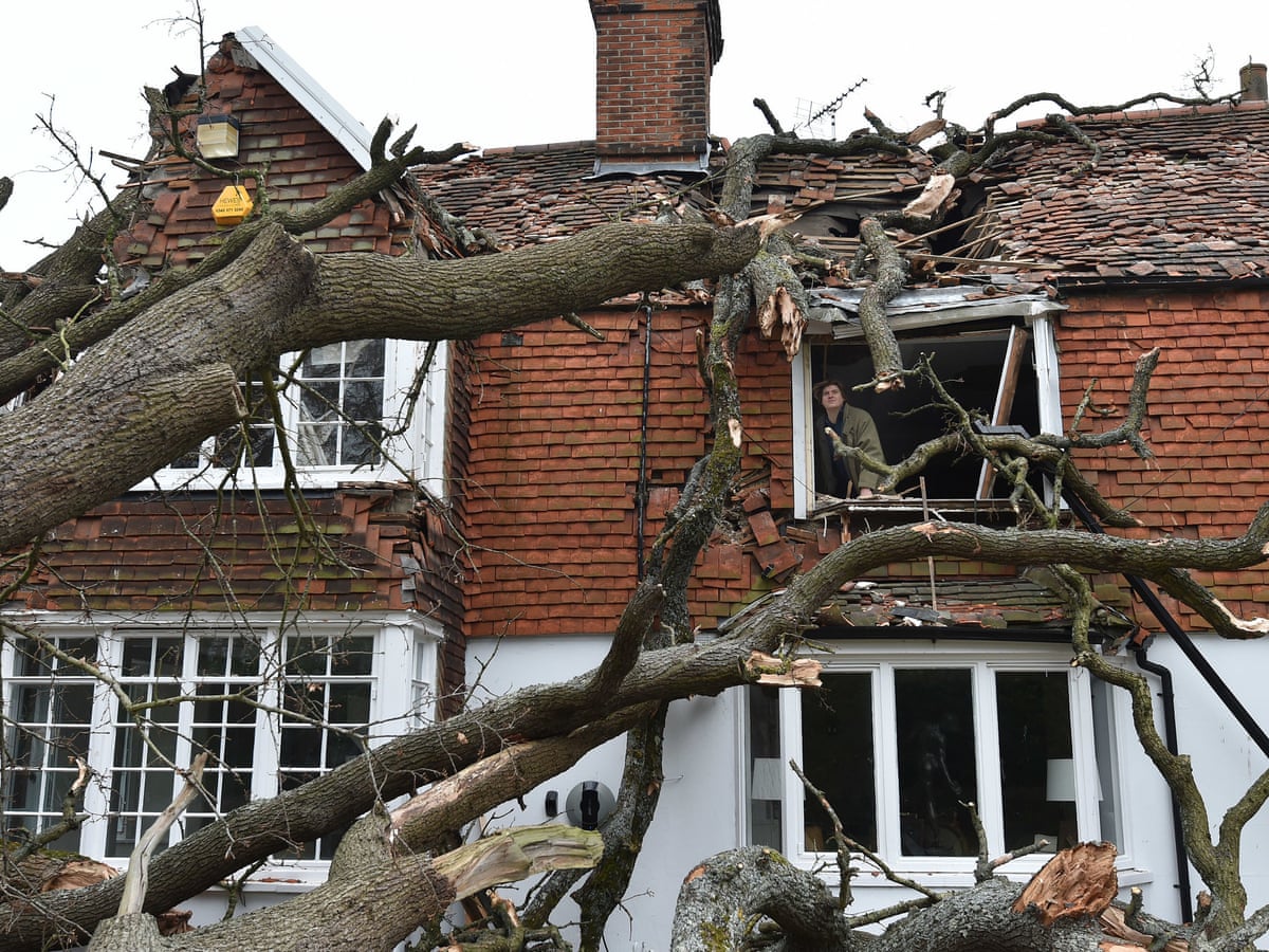 Storm Damage Repairs image 1